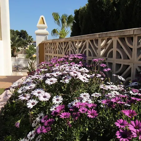 Nailencia Villa *